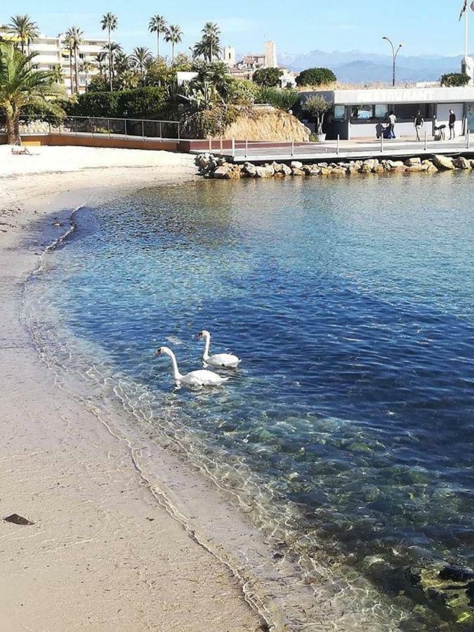 Studio Standing Bord De Mer Et Vue Antibes Ngoại thất bức ảnh